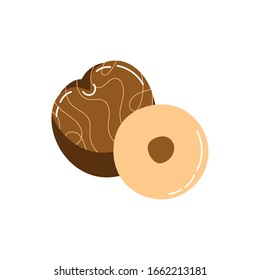 chico exotic fruit flat style vector illustration design