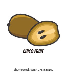 Chico fruit vector fresh cartoon