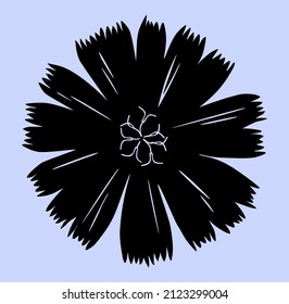 Chicory. Black vector silhouette of chicory flower isolated on blue background.