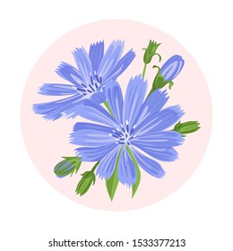 Chicory bouquet on pink background. Round banner with bright blue flowers and green leaves. Vector floral illustration in cartoon simple flat style.