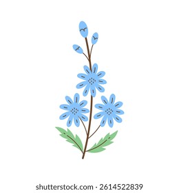 Chicory Flower Leaf Illustration. Blue Wildflower twig with leaves and buds. Flat vector plant art. Spring Summer Seasonal meadow floral.