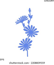 Chicory flower logo. Isolated chicory flower on white background