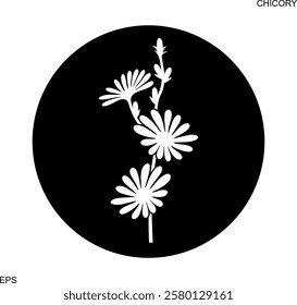 Chicory flower logo. Isolated chicory flower on white background