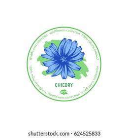 Chicory flower vector illustration. Wildflowers collection. Medicinal herbs. Design for eco, nature products,food, pharmacy cosmetics, body care product, covers, cards, packaging, labels, stickers.