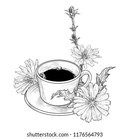 Zichorienblumen und Kaffeetasse mit Untertasse. Handgezeichneter Vektor 
Illustration im Vintage-Stil.