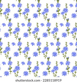 Chicory flowers on a white background, artistic. Seamless vector floral pattern. Cute illustration for wrap, surface, packaging, postcard, wallpaper.
