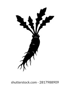Chicory Root Simple Icon Silhouette