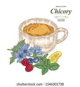 Chicory tea hand drawn. Chicory flowers, mint, lemon and fresh berries isolated on white background. Medical plants hand drawn. Vector illustration. Colorful engraved style.