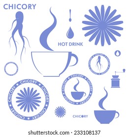 Chicory. Vector illustration EPS 10