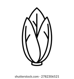 Chicory vegetable food icon with a clean line drawing of a chicory head