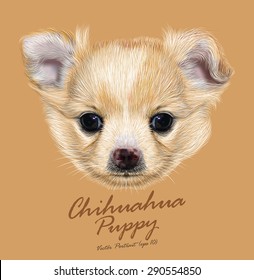 Chihuahua animal dog cute face. Vector apricot spotted chihuahua puppy head portrait. Realistic fur portrait of purebred chihuahua doggy on beige background.