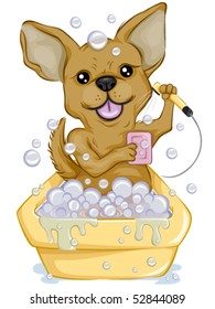 Chihuahua Bathing - Vector