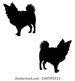 Chihuahua Cattle dog Silhouette, Chihuahua illustration, Chiweenie icon Silhouette, Cattle dog Silhouette illustration