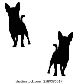 Chihuahua Cattle dog Silhouette, Chihuahua illustration, Chiweenie icon Silhouette, Cattle dog Silhouette illustration