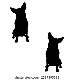 Chihuahua Cattle dog Silhouette, Chihuahua illustration, Chiweenie icon Silhouette, Cattle dog Silhouette illustration