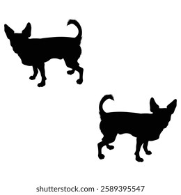 Chihuahua Cattle dog Silhouette, Chihuahua illustration, Chiweenie icon Silhouette, Cattle dog Silhouette illustration