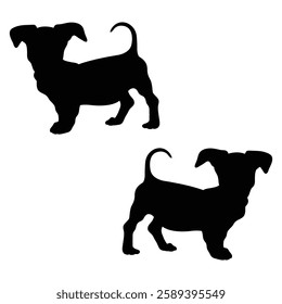 Chihuahua Cattle dog Silhouette, Chihuahua illustration, Chiweenie icon Silhouette, Cattle dog Silhouette illustration