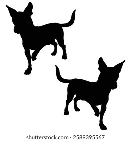 Chihuahua Cattle dog Silhouette, Chihuahua illustration, Chiweenie icon Silhouette, Cattle dog Silhouette illustration