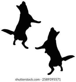 Chihuahua Cattle dog Silhouette, Chihuahua illustration, Chiweenie icon Silhouette, Cattle dog Silhouette illustration