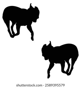 Chihuahua Cattle dog Silhouette, Chihuahua illustration, Chiweenie icon Silhouette, Cattle dog Silhouette illustration