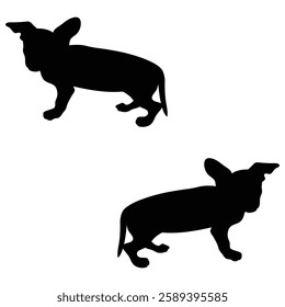 Chihuahua Cattle dog Silhouette, Chihuahua illustration, Chiweenie icon Silhouette, Cattle dog Silhouette illustration