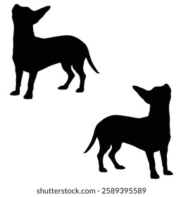 Chihuahua Cattle dog Silhouette, Chihuahua illustration, Chiweenie icon Silhouette, Cattle dog Silhouette illustration