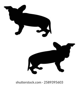 Chihuahua Cattle dog Silhouette, Chihuahua illustration, Chiweenie icon Silhouette, Cattle dog Silhouette illustration