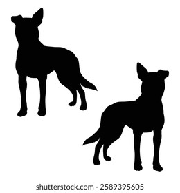 Chihuahua Cattle dog Silhouette, Chihuahua illustration, Chiweenie icon Silhouette, Cattle dog Silhouette illustration