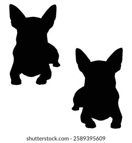 Chihuahua Cattle dog Silhouette, Chihuahua illustration, Chiweenie icon Silhouette, Cattle dog Silhouette illustration