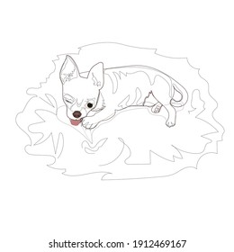 chihuahua chewing bone, sketch, silhouette, line drawing, postcard, cute little dog, pet, I'm ready to chew you always, always hungry puppy, watchful dog eyes, guarding prey, funny greedy