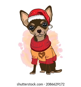 Chihuahua in christmas hat. Color, graphic, hand-drawn portrait of a cute Chihuahua looking ahead on a white background with blots.