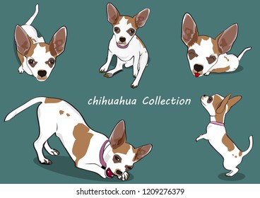 chihuahua collection.dog cartoon.