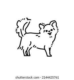 Chihuahua color line icon. Dog breed. Pictogram for web page, mobile app, promo.