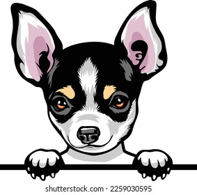 Chihuahua Color Peeking Dogs. Color image of a dogs head isolated on a white background. Dog portrait, Vector illustration