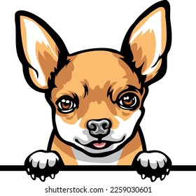 Chihuahua Color Peeking Dogs. Color image of a dogs head isolated on a white background. Dog portrait, Vector illustration