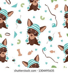 chihuahua. Cute puppy chihuahua pattern on white background. Little dog in a hat. Accessories for walking and pet care in the background. Vector illustration.