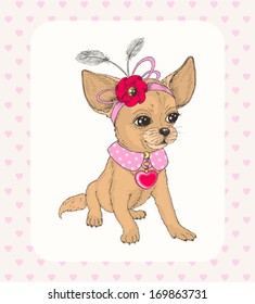 Chihuahua with decoration on head, hand-drawn illustration in vintage style.