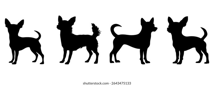 Chihuahua em poses diferentes. Silhueta de raça de cão