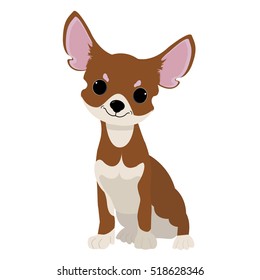 chihuahua dog