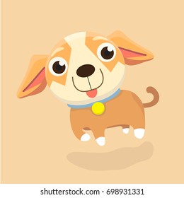 Chihuahua dog.