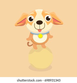 Chihuahua dog.