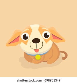 Chihuahua dog.