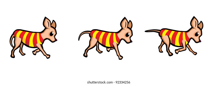 Chihuahua Dog