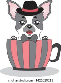 Chihuahua Dog with a Black Hat, Sitting in a Cup. Colored Vector for Card or Gift.