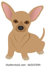 Chihuahua Dog Breed Color Isolated on White Background vector Illustration