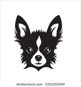 chihuahua dog breed vector illustration