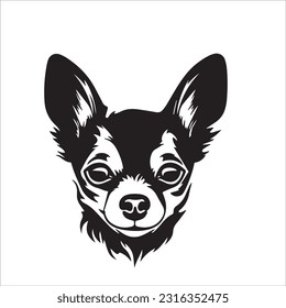 chihuahua dog breed vector illustration