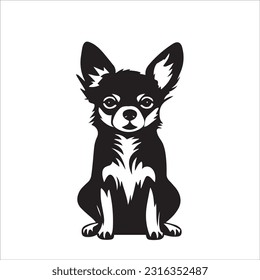 chihuahua dog breed vector illustration