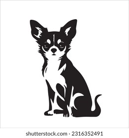 chihuahua dog breed vector illustration