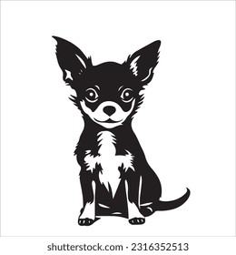chihuahua dog breed vector illustration